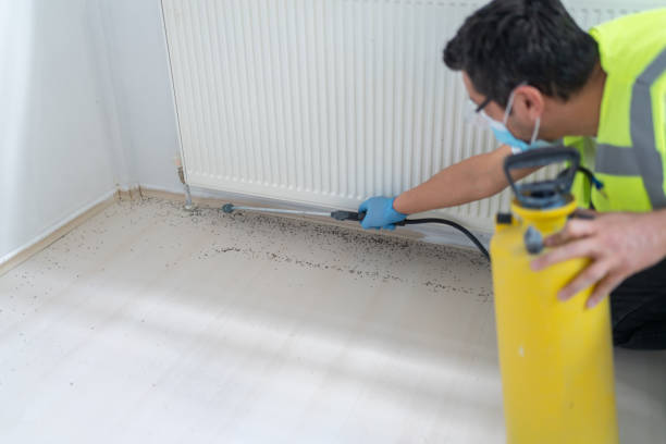 Professional Pest Control in West Reading, PA